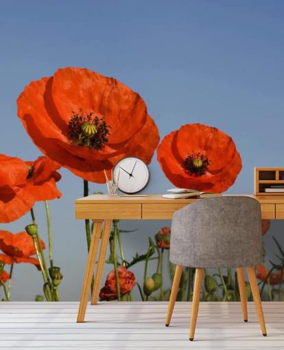 Fondo de pantalla de Amapolas rojas en un campo