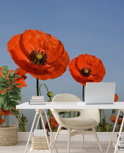 Papier Peint Coquelicots rouges dans un champ