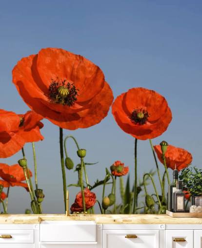 Fondo de pantalla de Amapolas rojas en un campo