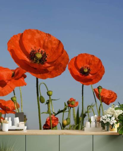 Red Poppies in a Field Wallpaper