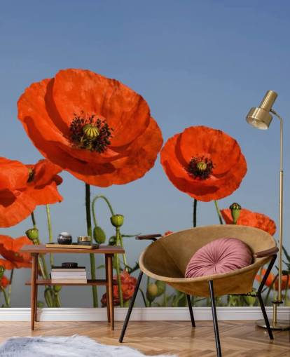 Fondo de pantalla de Amapolas rojas en un campo