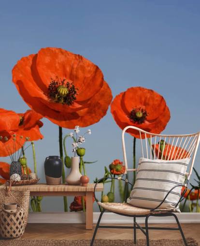 Fondo de pantalla de Amapolas rojas en un campo