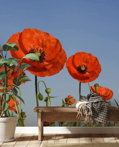 Fondo de pantalla de Amapolas rojas en un campo