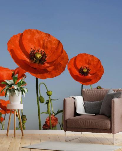Rote Mohnblumen in einem Feld Wallpaper Rote Mohnblumen in einem Feld Wallpaper