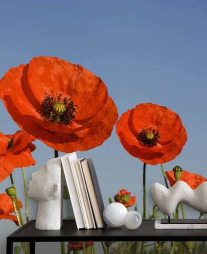Fondo de pantalla de Amapolas rojas en un campo Fondo de pantalla de Amapolas rojas en un campo
