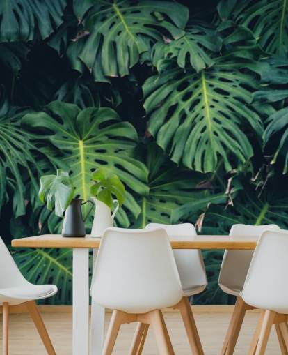 Tropical Leaves Wallpaper