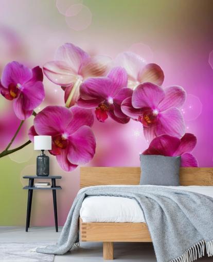 Papel pintado Purple Orchid