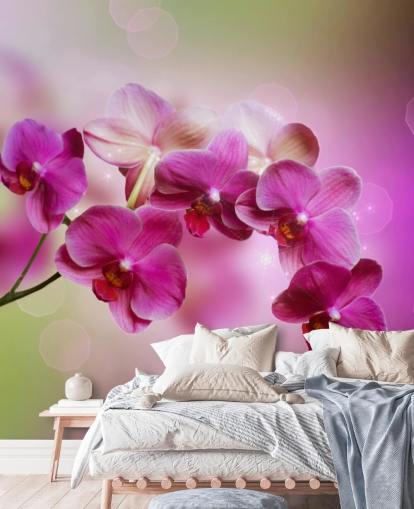 Purple Orchid Wallpaper