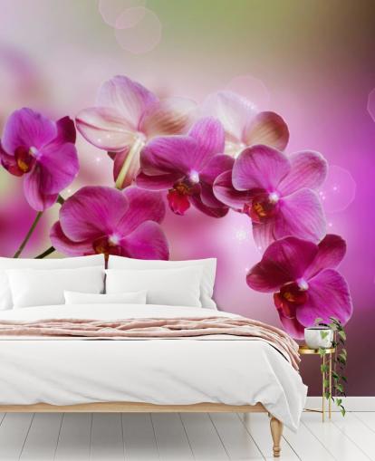 Papier peint Purple Orchid