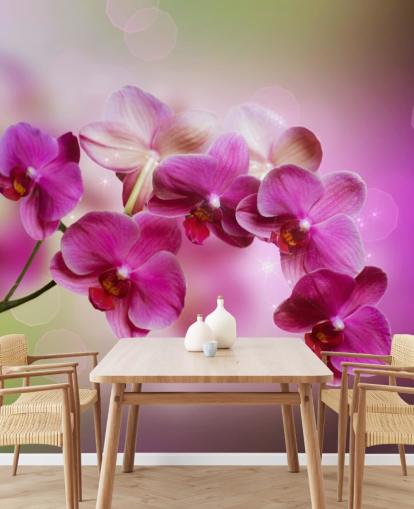 Papel de parede Purple