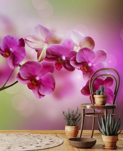 Purple Orchid Wallpaper