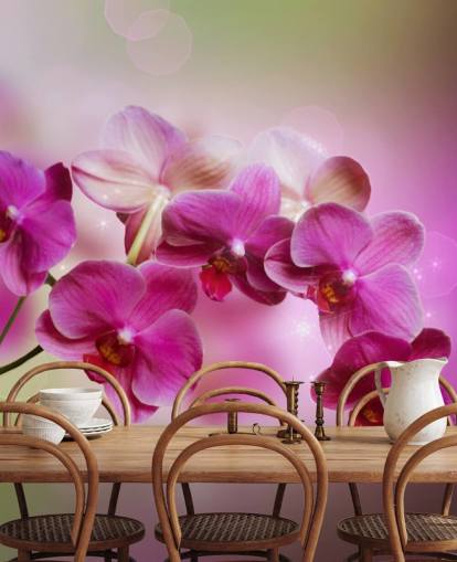 Lilla Orchid Bakgrunn