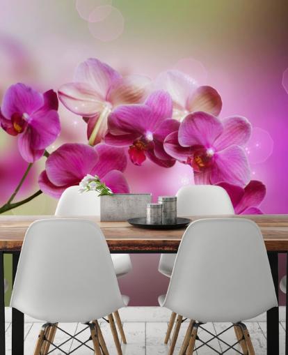 Purple Orchid Behang Purple Orchid Behang