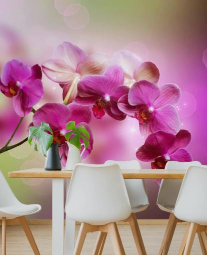 Purple Orchid Wallpaper