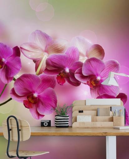 Papel de parede Purple