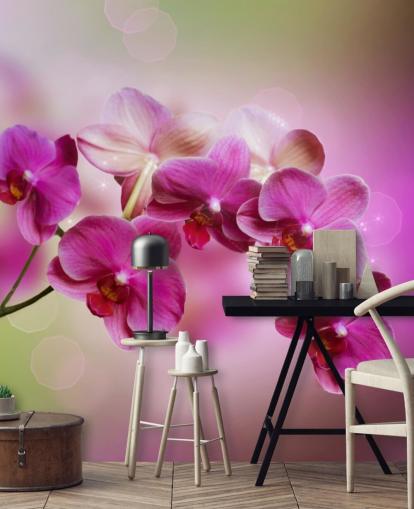Lila Orchidee Tapete