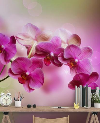 Purple Orchid Wallpaper