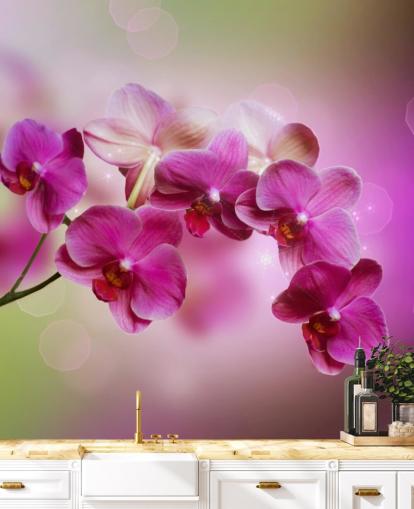 Lila Orchidee Tapete
