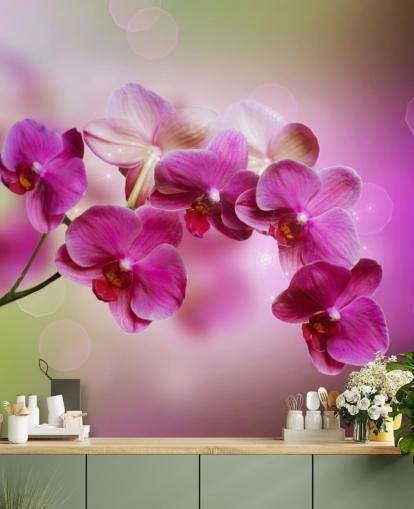 Papier peint Purple Orchid Papier peint Purple Orchid