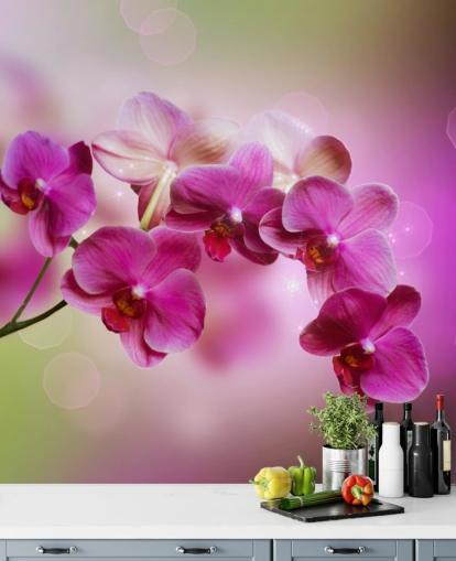 Papier peint Purple Orchid Papier peint Purple Orchid