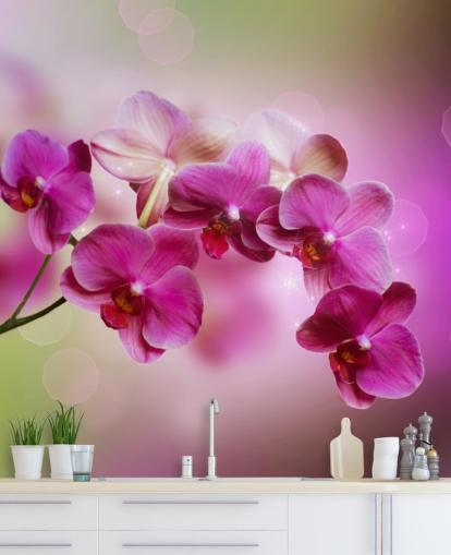 Purple Orchid Wallpaper