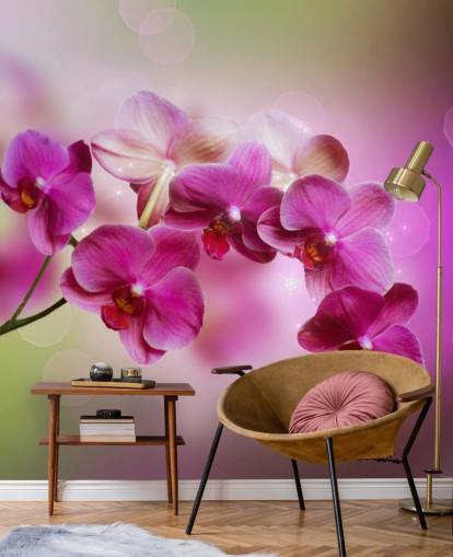 Purple Orchid Wallpaper