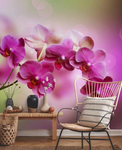 Lilla Orchid Bakgrunn