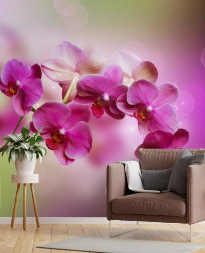 Purple Orchid Wallpaper