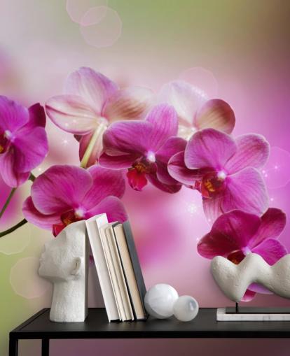 Lilla Orchid Bakgrunn