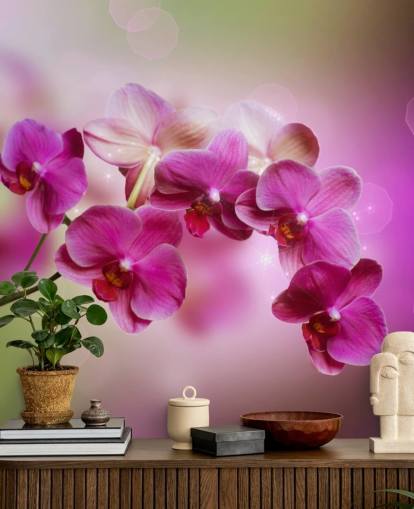 Lila Orchidee Tapete