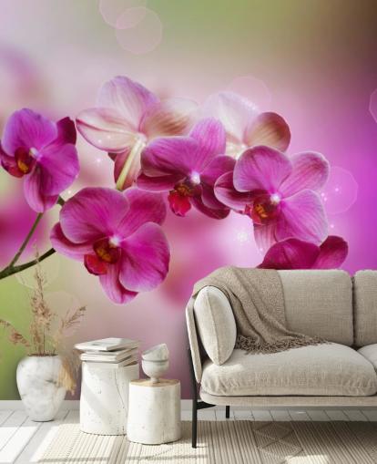 Purple Orchid Wallpaper