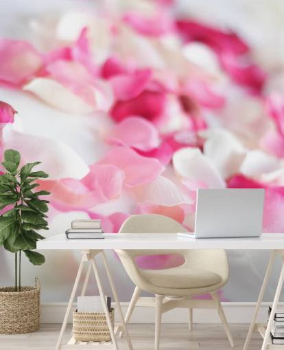 Papel pintado Pétalos de rosa rosa y blanca Papel pintado Pétalos de rosa rosa y blanca