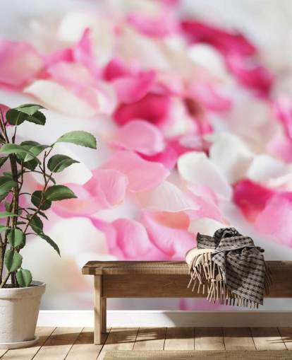 Papel pintado Pétalos de rosa rosa y blanca