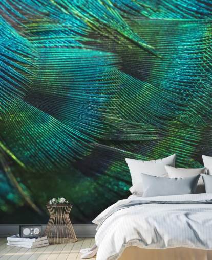 Closeup Peacock Feathers Wall Mural