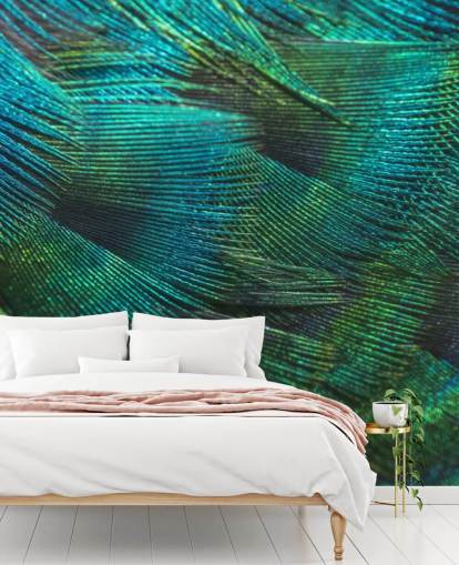 Closeup Peacock Feathers Wall Mural