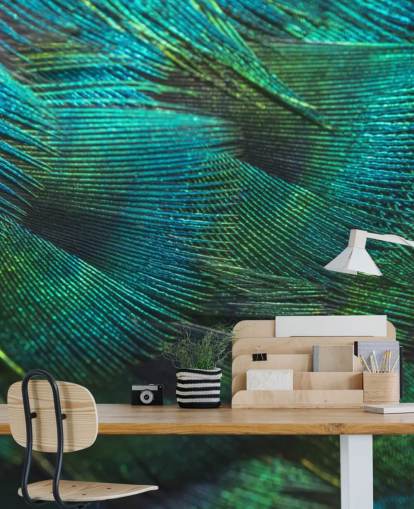 Closeup Peacock Feathers Wall Mural Closeup Peacock Feathers Wall Mural