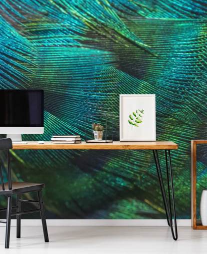 Closeup Peacock Feathers Wall Mural