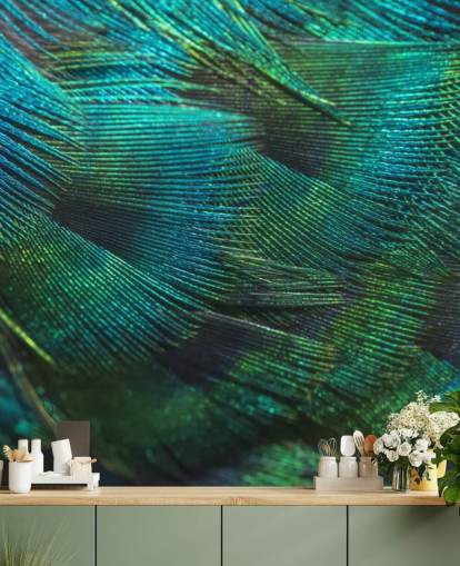 Closeup Peacock Feathers Wall Mural