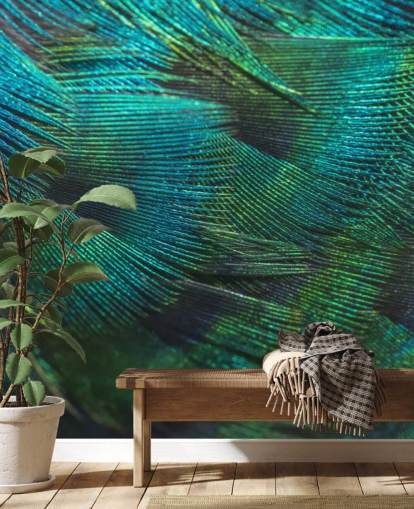 Closeup Peacock Feathers Wall Mural
