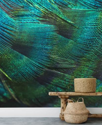 Closeup Peacock Feathers Wall Mural