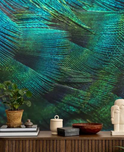 Closeup Peacock Feathers Wall Mural