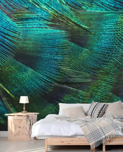 Closeup Peacock Feathers Wall Mural