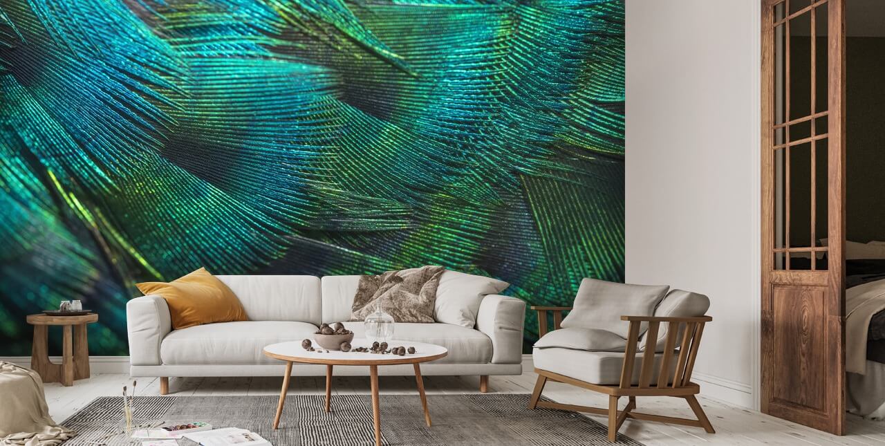 Closeup Peacock Feathers Wall Mural Wallsauce UK