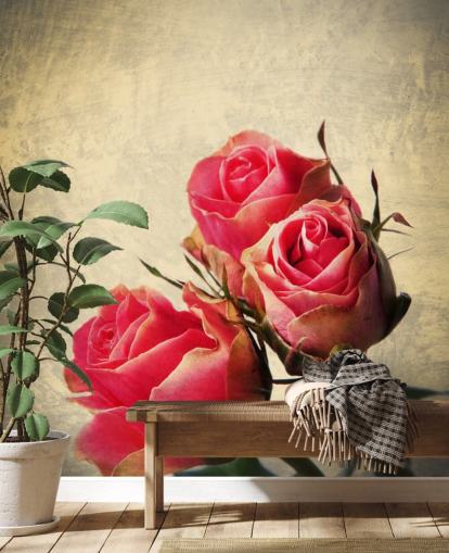 Carta da parati con tre rose rosa vintage