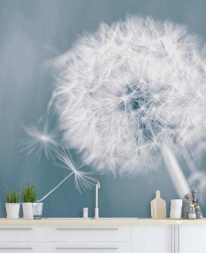 grijze paardenbloem behangmuurschildering genaamd Dandelion Clock voor slaapkamers, kantoren en badkamers grijze paardenbloem behangmuurschildering genaamd Dandelion Clock voor slaapkamers, kantoren en badkamers