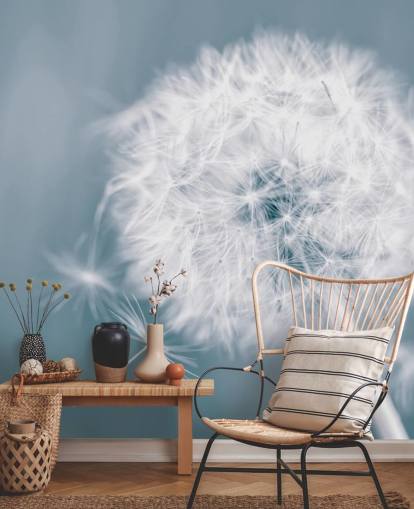 Wandbild mit grauer Löwenzahn-Tapete namens Dandelion Clock für Schlafzimmer, Büros und Badezimmer
