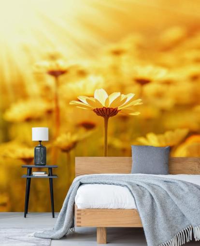 Papier peint Golden Daisy Papier peint Golden Daisy
