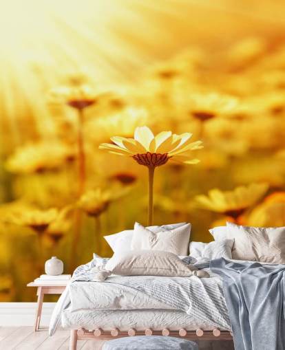 Golden Daisy Baggrund Golden Daisy Baggrund