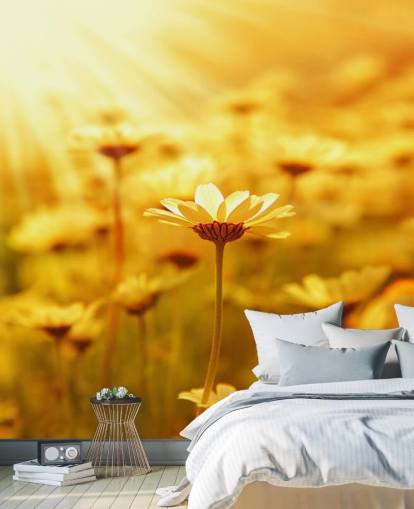 Papier peint Golden Daisy