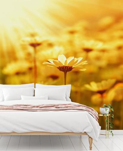 Golden Daisy Wallpaper